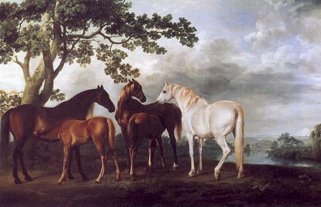 Mares and Foals in a Landscape